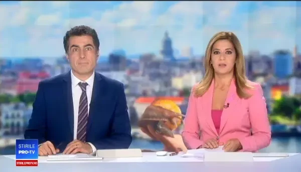 Ţara invadată de melci monstruoşi, care pot ajunge la 20 de centimetri lungime