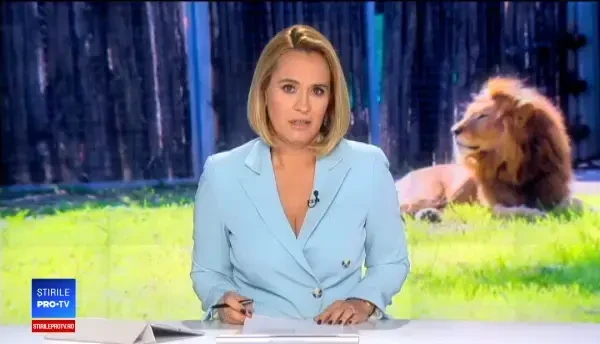 Scene șocante filmate la un zoo din SUA. O femeie a sărit în cușca leilor. VIDEO