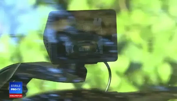 Reacția unui hoț atunci când este filmat încercând să fure dintr-o mașină