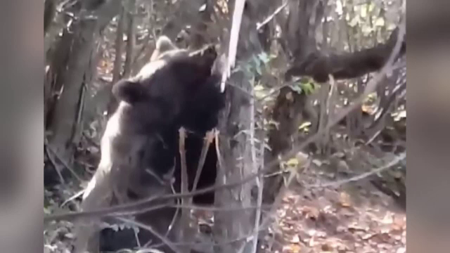 Ce a descoperit un sătean în apropierea locului unde lucra: "M-am speriat"