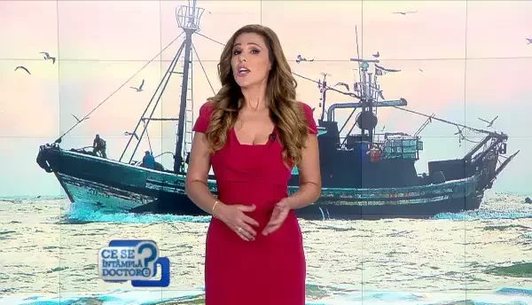 Beneficiile peștilor mici. De ce hamsiile, sardinele sau șprotul sunt cele mai bune surse de nutrienți pentru organism