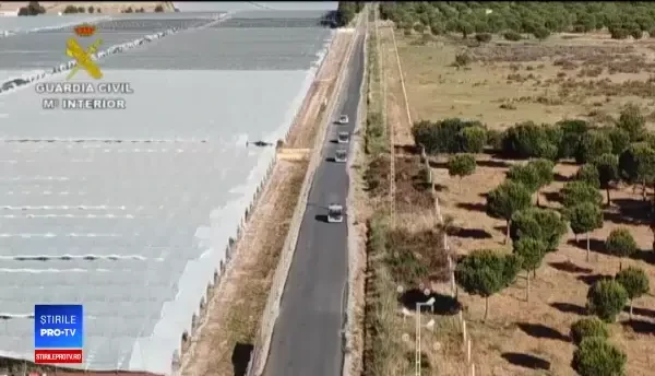 Români și moldoveni, sclavi la ferme din Spania. Primeau mâncare pentru câini și dormeau în corturi improvizate