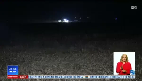 O ursoaică și 2 pui au creat panică într-o localitate din Mureș. Oamenii, avertizați prin RO-Alert