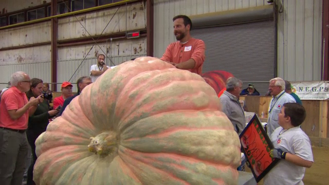 Dovleac de peste o tonă, câștigătorul unui concurs. Câți bani i-a adus proprietarului