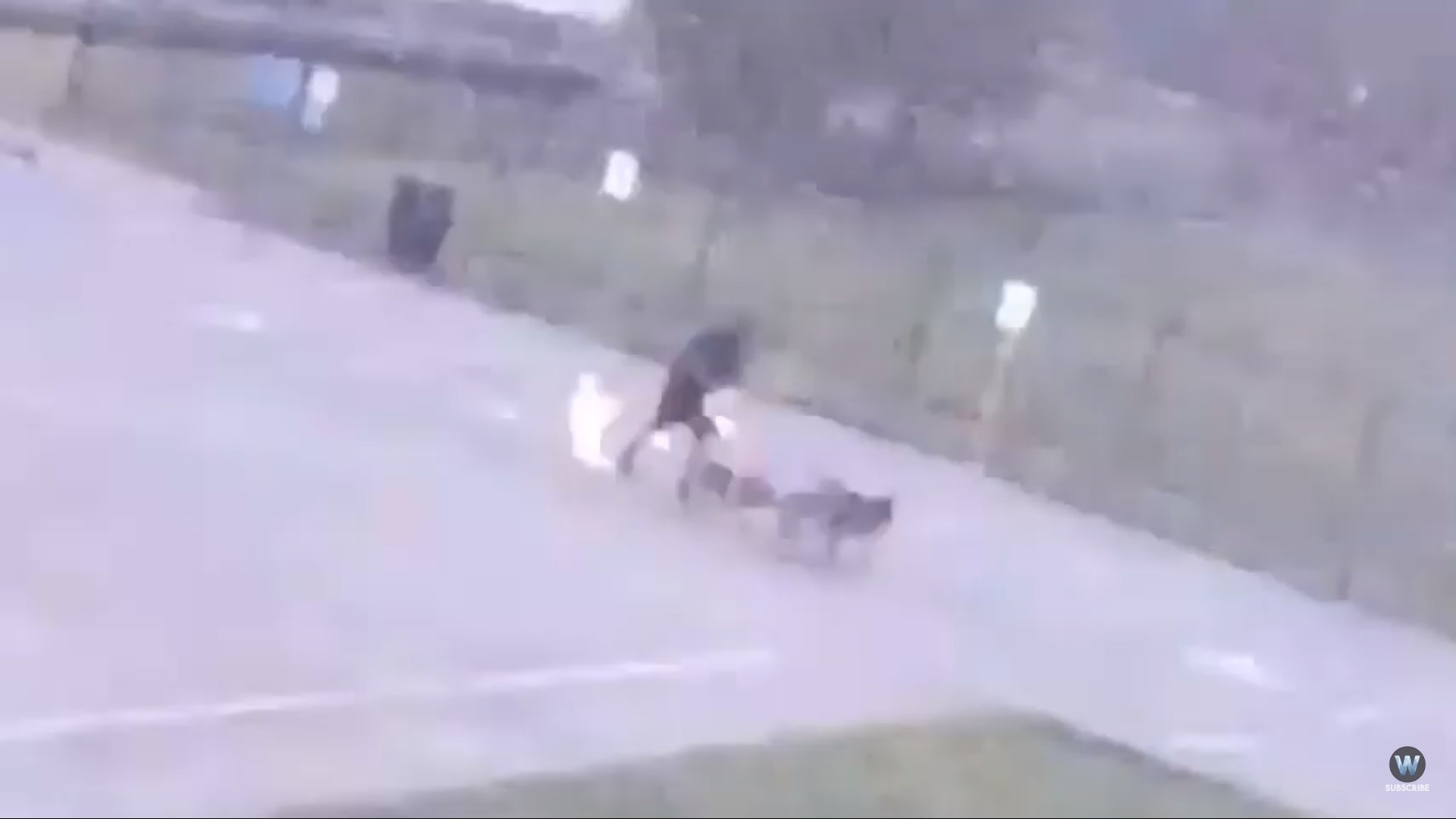 Momentul în care un bărbat a fost lovit de trăsnet. I-au sărit pantofii din picioare