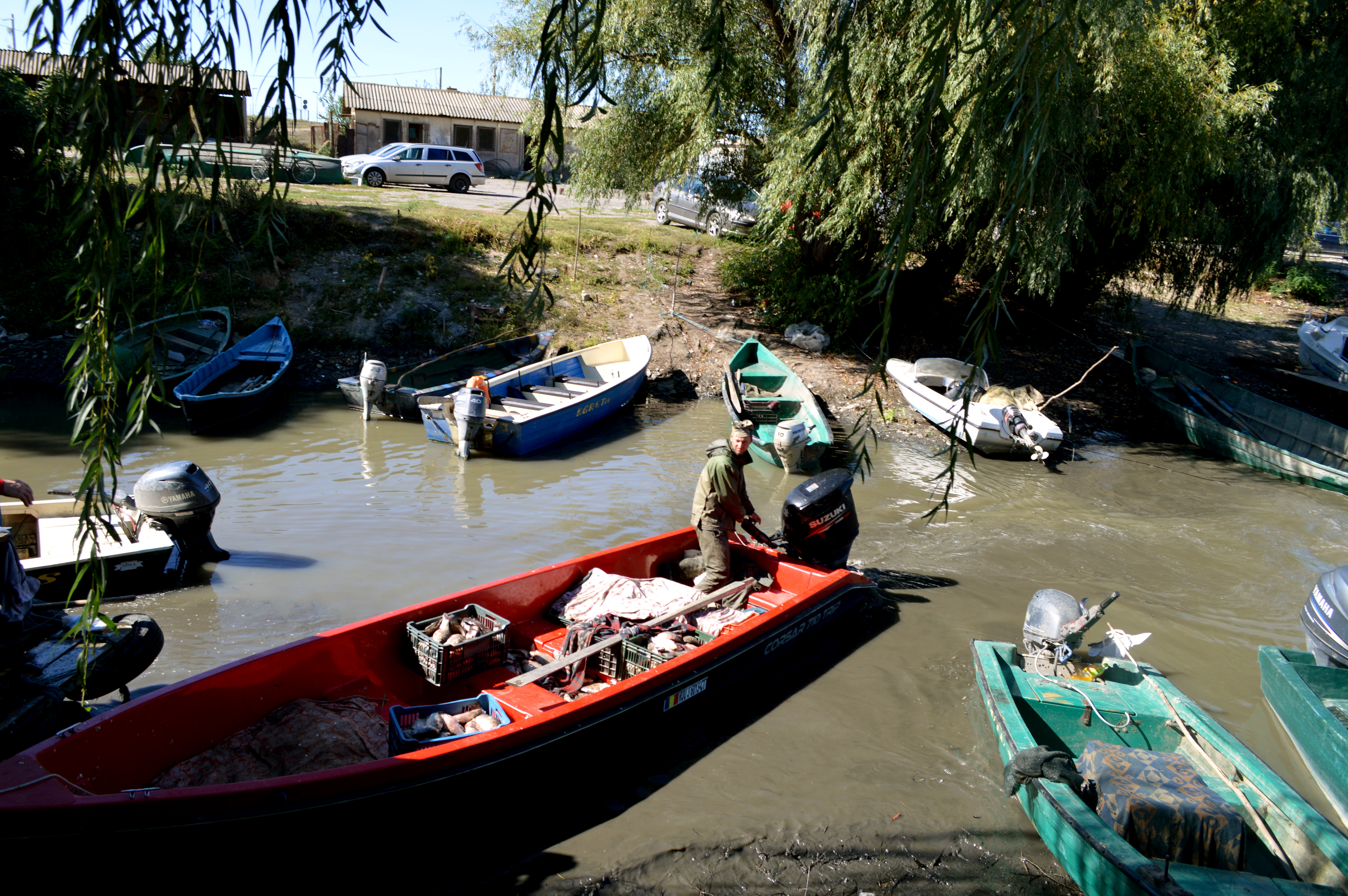Avem un sfert din resursa de apă a UE, dar o acvacultură la care „trage” doar corupția. „Suntem Africa Europei”