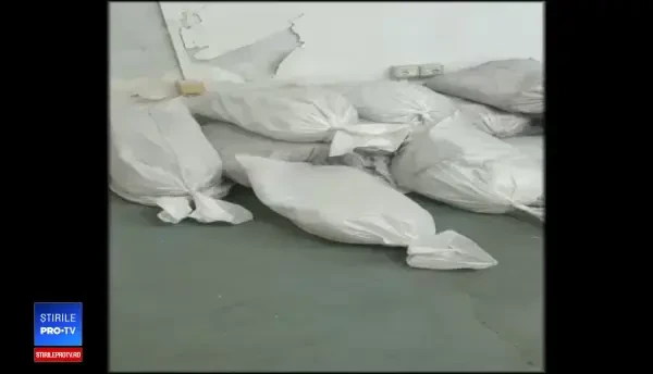 Captură de 9 mil. € la Vama Giurgiu. Ce transporta un sârb în mai mulți saci de rafie