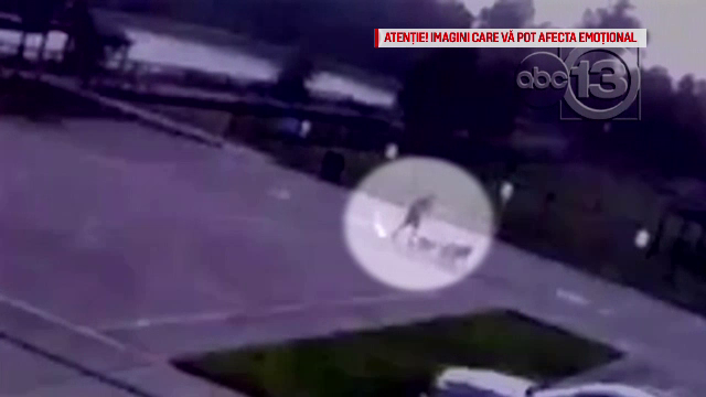 Bărbat lovit de trăsnet în timp ce îşi plimba câinii. Hainele i-au ars instantaneu