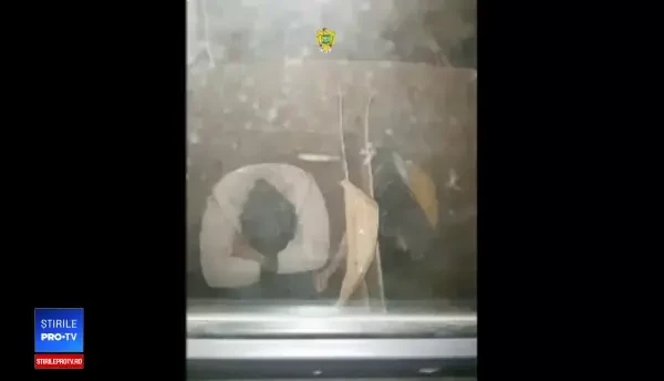 Vietnamezi găsiţi în cutii de carton într-un TIR. Ce ascundea şoferul în patul din cabină