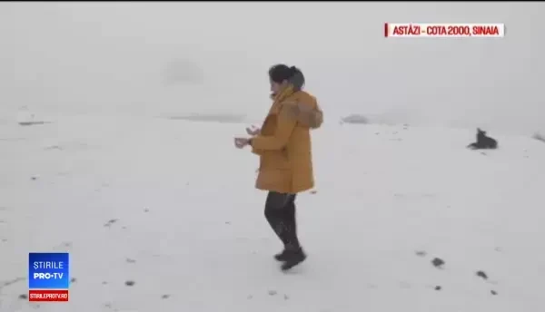 Frig în toată țara și zăpezi la munte. Ce au pățit turiștii fără cauciucuri de iarnă