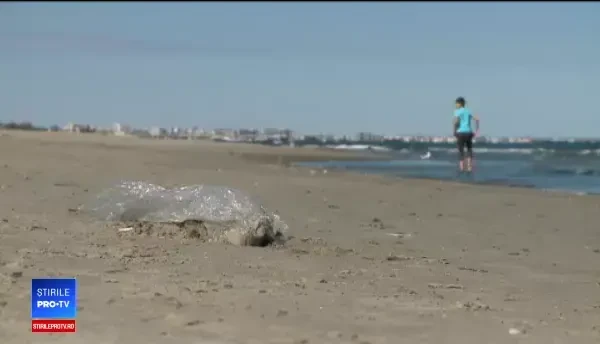 Cel mai murdar an de pe litoralul românesc. Dezastrul lăsat în urmă de turiști și comercianți