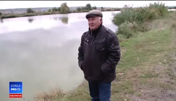 Pagube de zeci de milioane de lei din cauza cormoranilor. Proiectul propus de 14 parlamentari