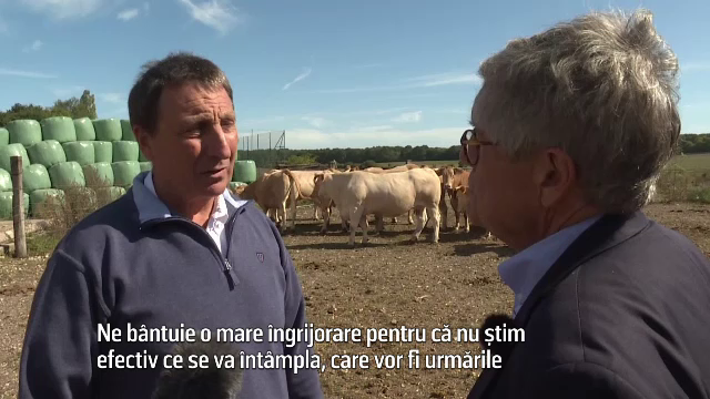 Francezii se pregătesc de vremuri negre după Brexit. "Ne bântuie o mare îngrijorare"