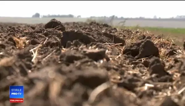 Schimbările climatice distrug agricultura. Ce arată hărțile de risc pentru următorii ani