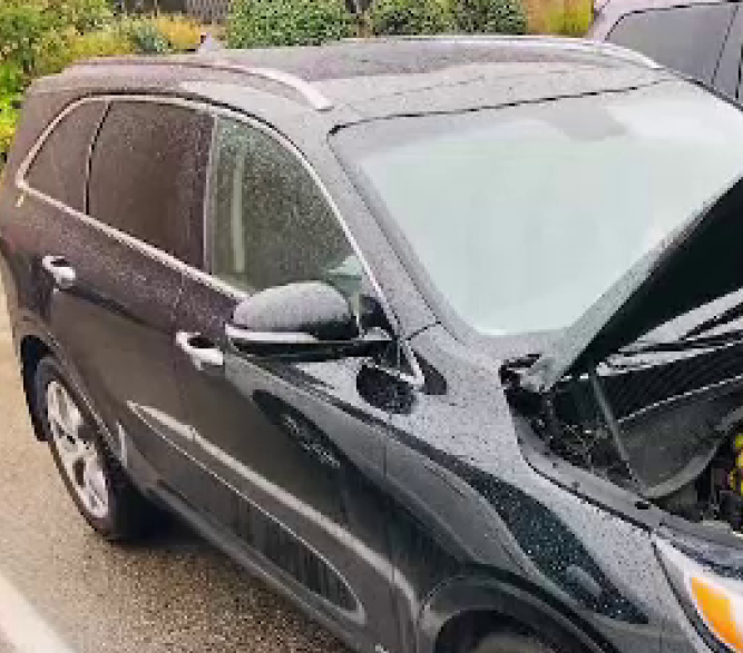 Descoperirea facuta de o femeie sub capota masinii, dupa ce nu a folosit-o cateva zile