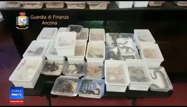 Descoperire înfiorătoare pe o ambarcațiune din Grecia. Ce riscă vinovații