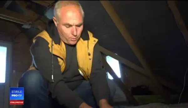 Plantele care readuc bani fermierilor români după ce au fost ignorate 20 de ani