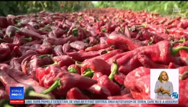 Boiaua românească, la mare cerere în străinătate. La cât ajunge un kilogram