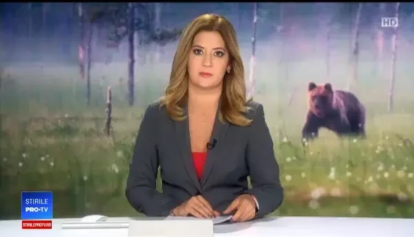 Avertisment lansat după ce un bărbat a fost sfâșiat de o ursoaică. Cum a fost găsit