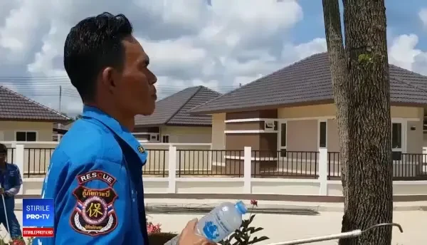 Cobră de 4 metri într-o conductă. Cum a fost prins de autorități