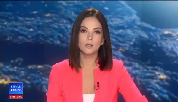 Câine de 85 de kilograme, salvat de pe munte, unde leşinase de epuizare