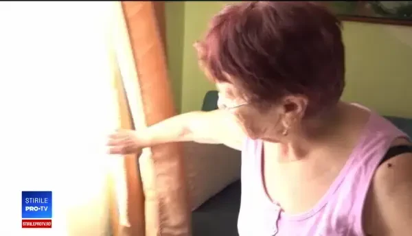 Invazie de buburuze la Arad. Mărturiile localnicilor: "Nu mă pot duce nici la veceu"