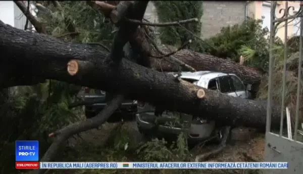 Dezastru pe Coasta de Azur, după un fenomen meteo extrem de rar