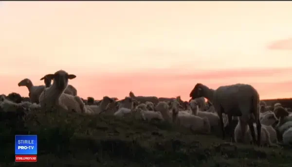 Telemeaua de Sibiu, al şaptelea produs românesc înregistrat la UE