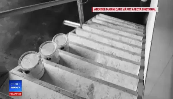 S-au trezit cu subsolul inundat cu sânge. Explicaţia neobişnuită a fenomenului "malefic"