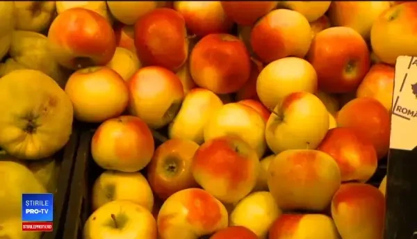 România, codașă la agricultura ecologică. Cum au rămas mulți fermieri fără certificate