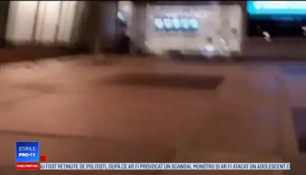 Scene de groază pe terasa unei clădiri. Sute de păsări găsite moarte