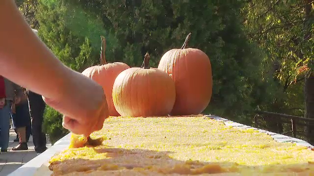 Dovleci de 200 de kg și plăcinte de 25 de metri la un festival de toamnă din Capitală