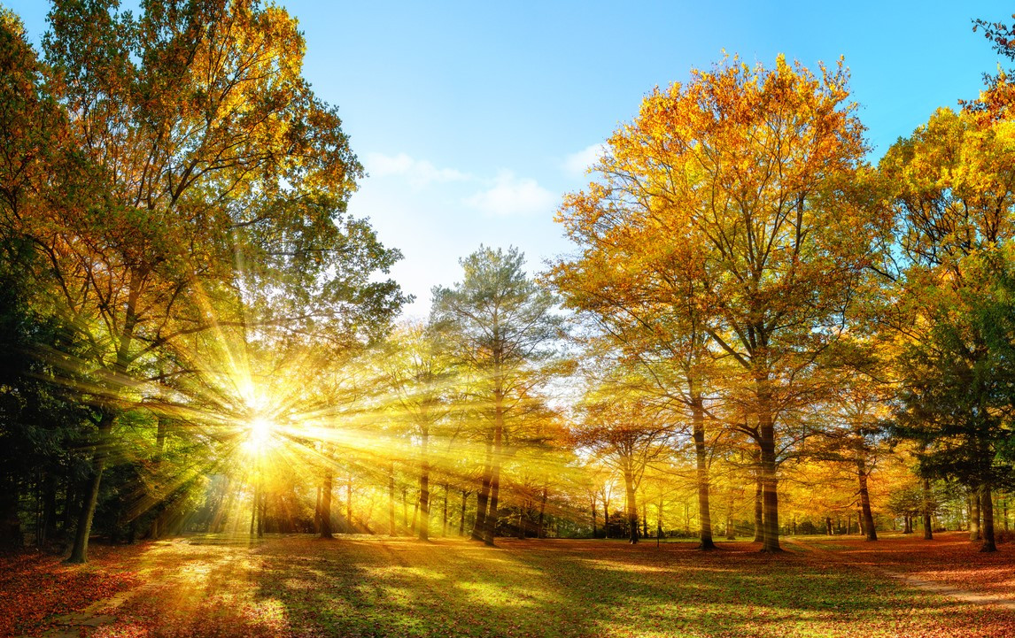 Vremea, 26 ianuarie. Temperaturi peste mediile multianuale. Prognoza pe 3 zile