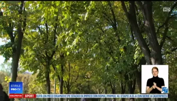 Temperaturi cu 10 grade mai ridicate decât ar fi normal. Anunțul meteorologilor