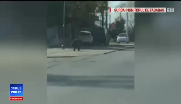 Panică într-o localitate din județul Brașov. Un urs a atacat 2 copii și un bărbat