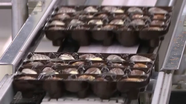 Industria belgiană de ciocolată, amenințată de Brexit. Ce măsuri au luat producătorii