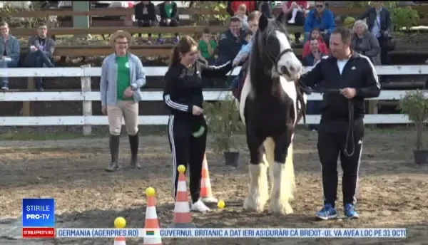 Terapie prin echitație. Mai multe familii au luat parte la un concurs de călărit