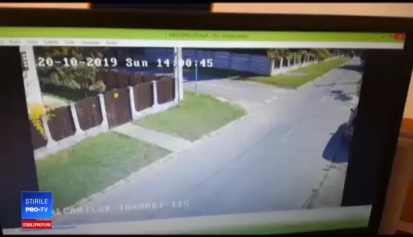 De ce s-a ridicat ursul din orașul Victoria în două labe. A rănit apoi 3 oameni