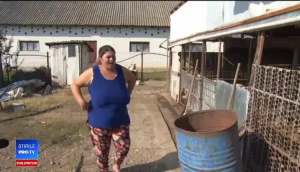 Rezervări online la porcul de Crăciun. Motivul pentru care unii i-au comandat din vară