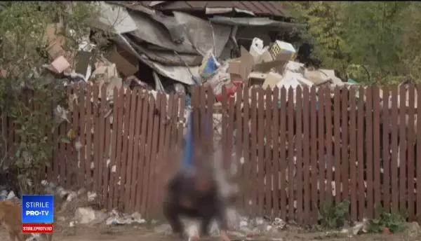 Şi-a umplut casa cu atâtea gunoaie că a ajuns să doarmă în curte. "Sunt cam multe, aşa e"