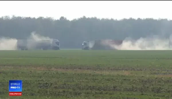 Alertă de pestă în Argeş. "Nu ştim cum a ajuns virusul la coteţe"