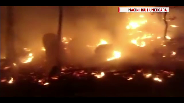 Incendiu puternic de vegetație, în judeţele Alba şi Hunedoara. Au ars peste 30 de hectare