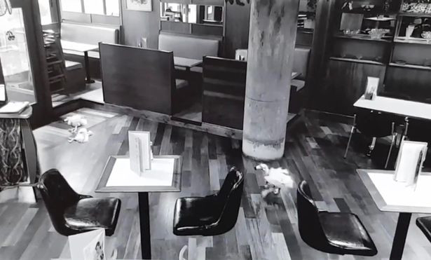 Momentul în care o jucărie „evadează” dintr-un aparat cu fise. "Este înfricoşător"