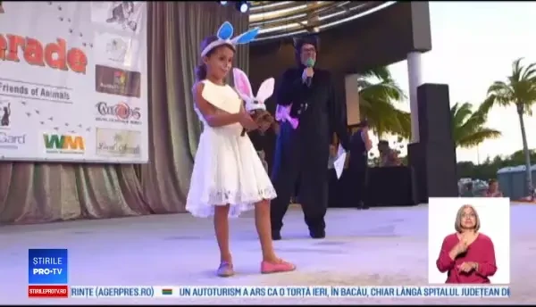 Halloween-ul patrupedelor. Concurs inedit organizat în Statele Unite