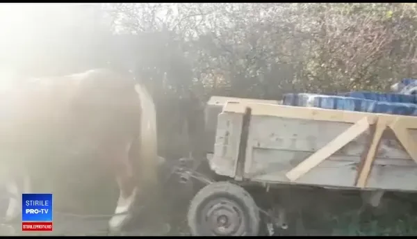 Căruță urmărită de poliție, cu focuri de armă. Ce se afla în ea