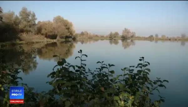 „De la furcă la furculiță”. Cum au ajuns mai mulți fermieri să fie și producători și vânzători