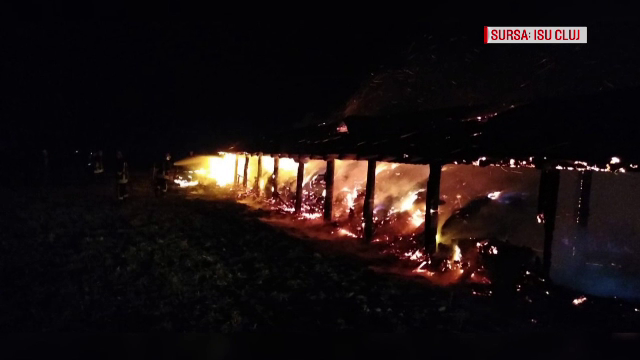 11 animale au pierit într-un incendiu, în Cluj. Focul ar fi fost pus intenționat