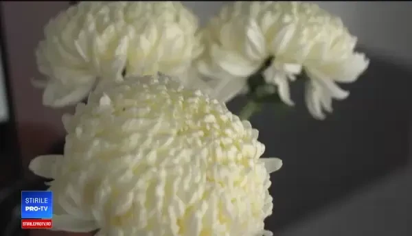 Povestea unei tinere actrițe din Sibiu care a salvat 5 vieți după moarte