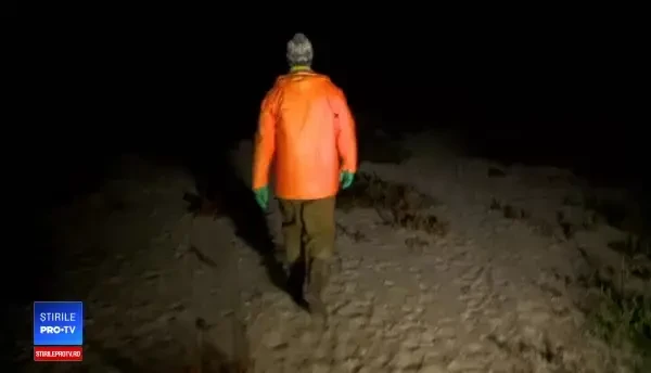 Peștele care poate fi pescuit în România doar două luni pe an. Cum se gătește