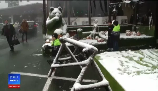 Reacţia unui copil când vede zăpadă, la Poiana Braşov. "Am zis că e vată de zahăr"